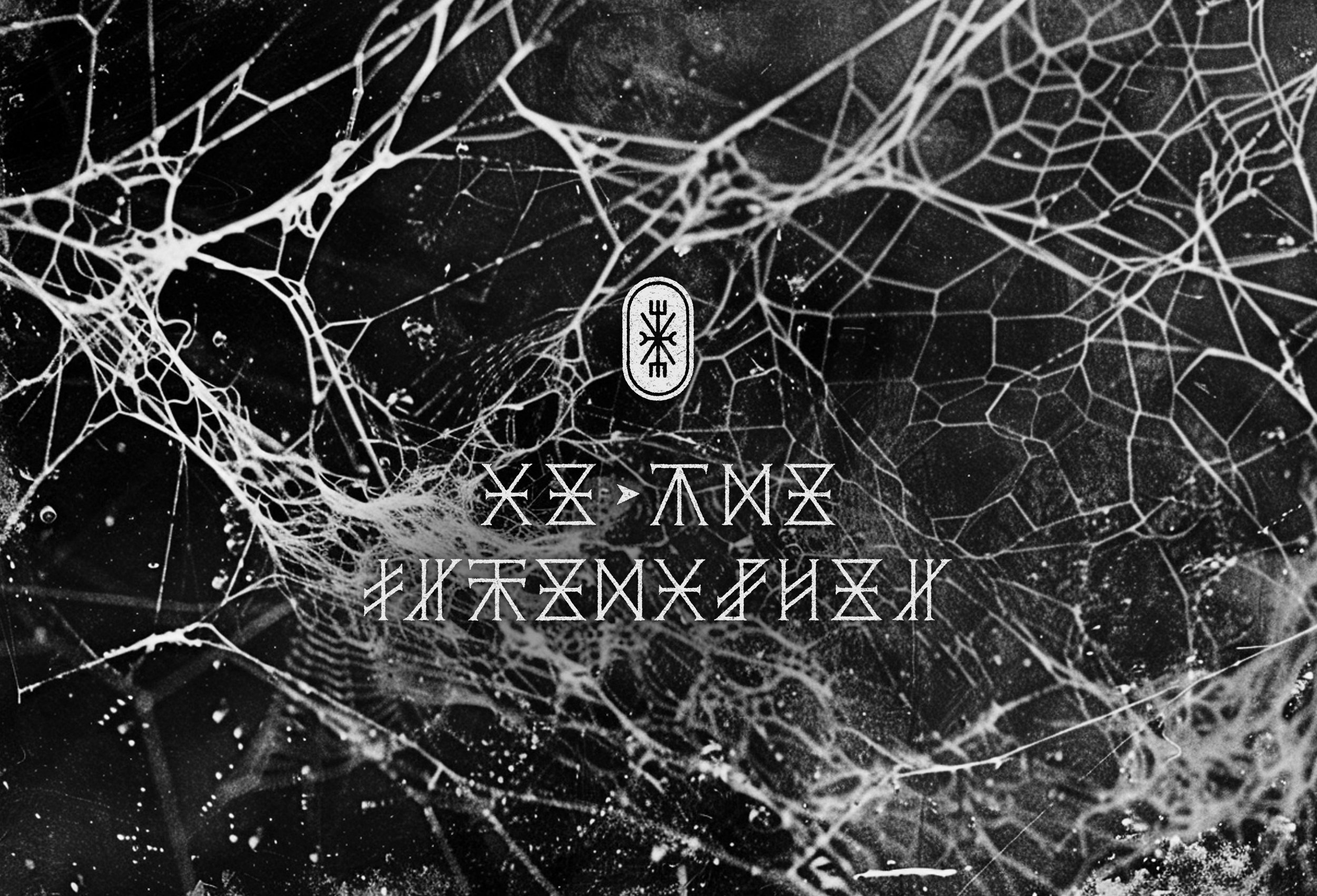 Black and white photo with film grain depicting a dense and complex spiderweb, overlaid with a white graphic glyph and message in coded alphabet.
