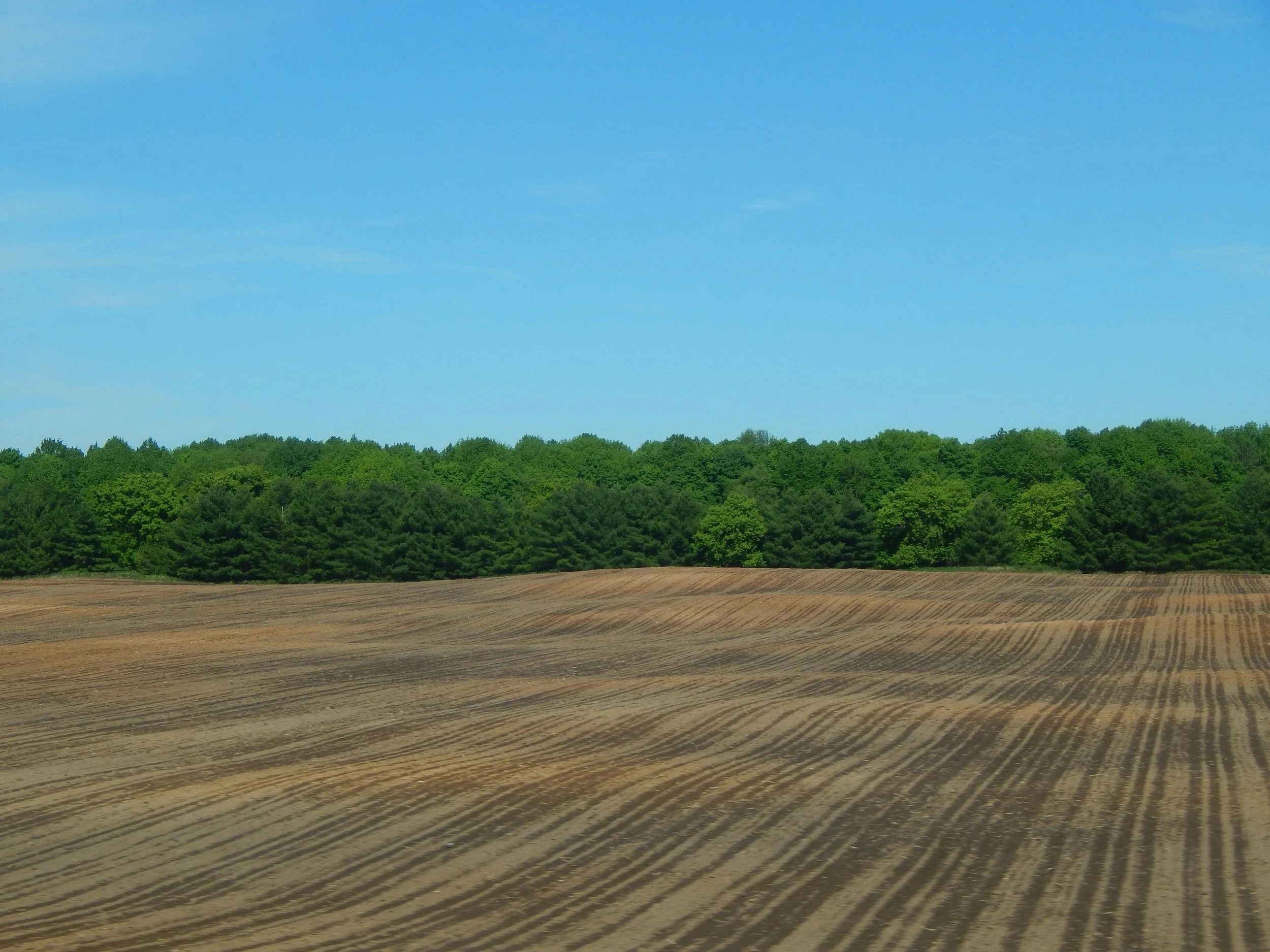 Land bridging loan for land with or without planning