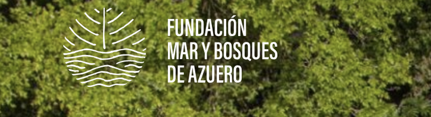 Fundación Mar y Bosques de Azuero