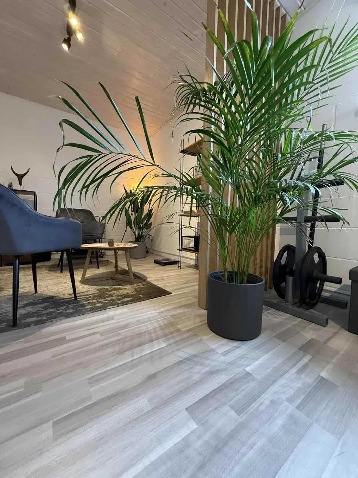 Lounge im Studio Motus in Linnich-Rurdorf