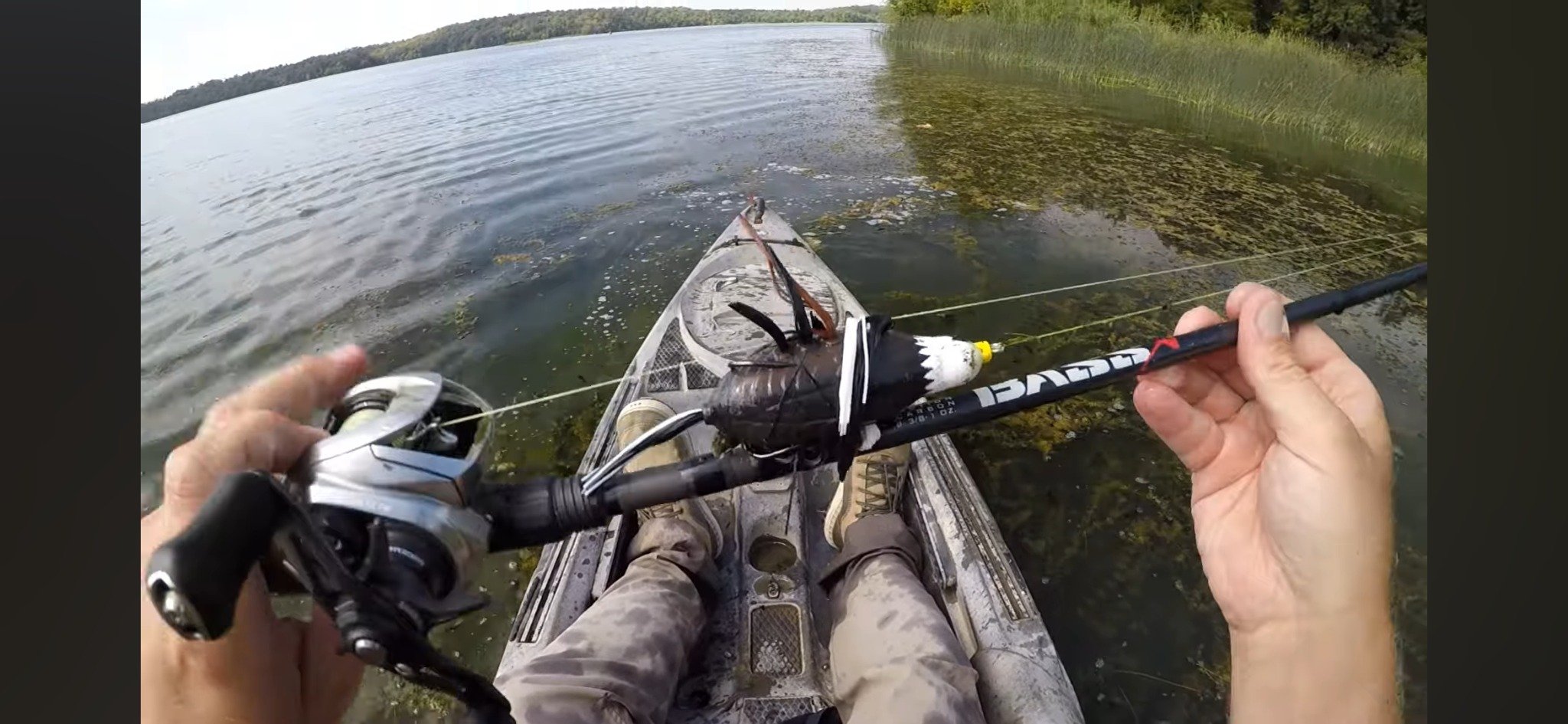 Actual Bald Eagle Bird lure rigged on a baitcasting rod while kayak fishing