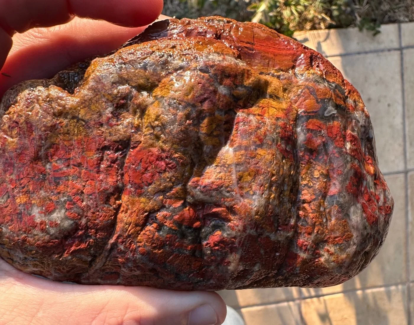 Red and gold jasper held in sunlight