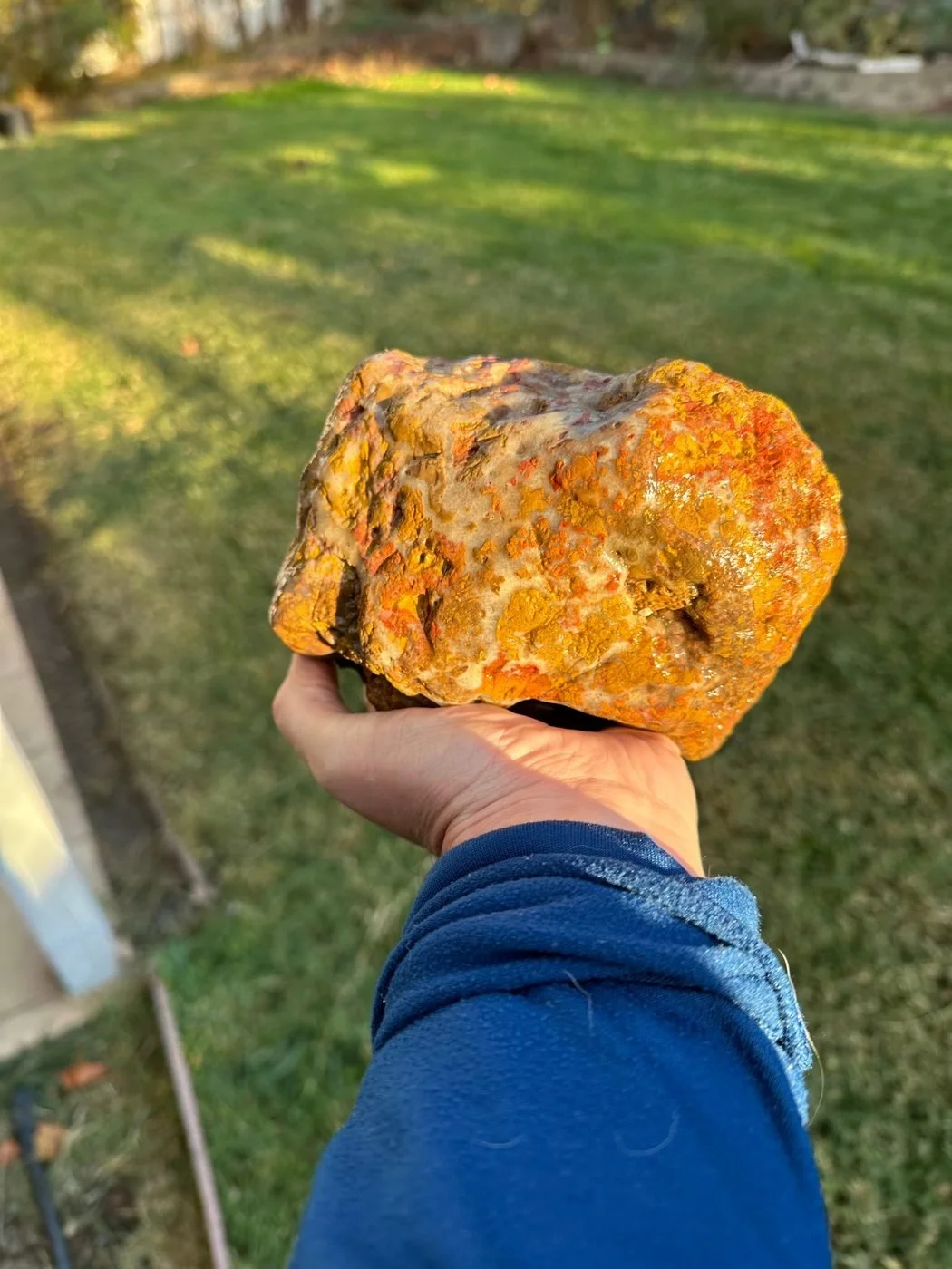 A big orange and gold jasper held up in late-afternoon sun