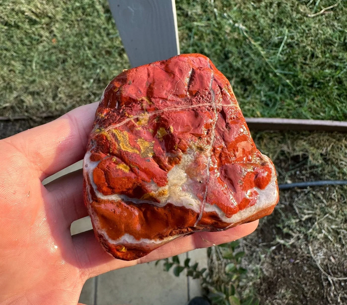 Wet red jasper with a white chalcedony band, held in a hand