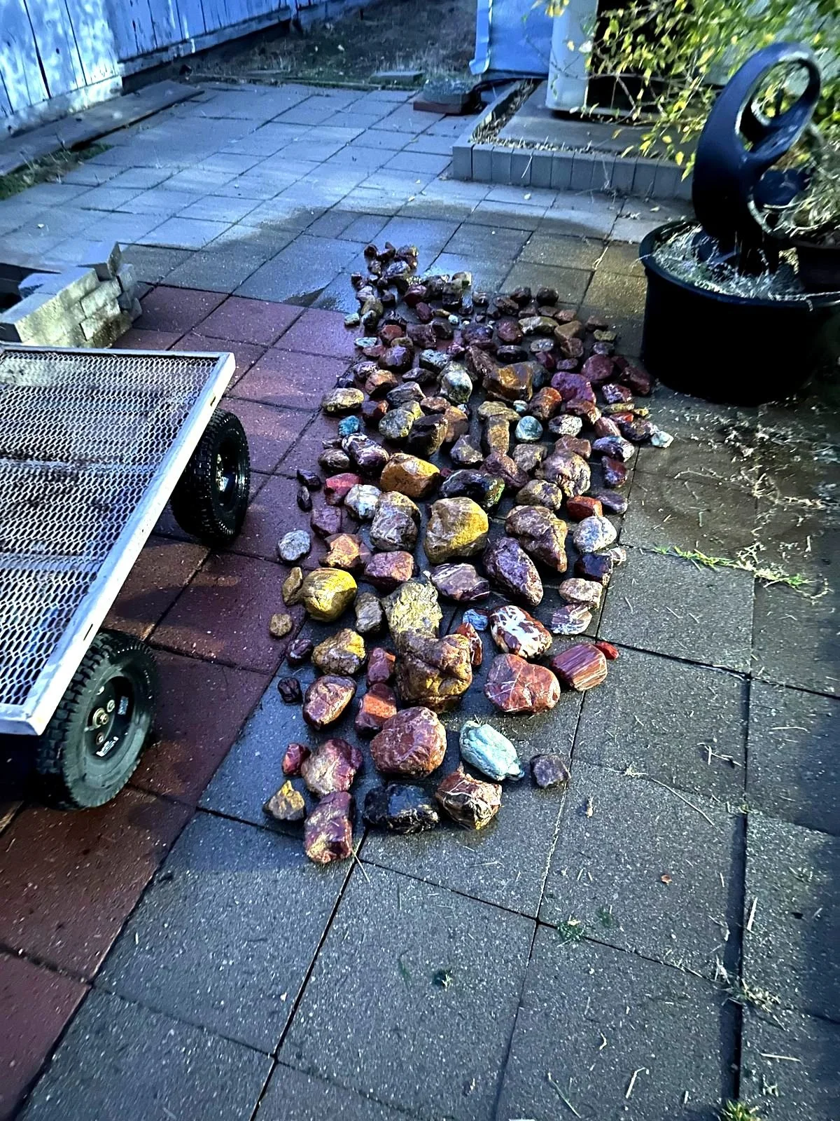 A whole day's haul of jasper spread out wet across a patio next to a garden cart