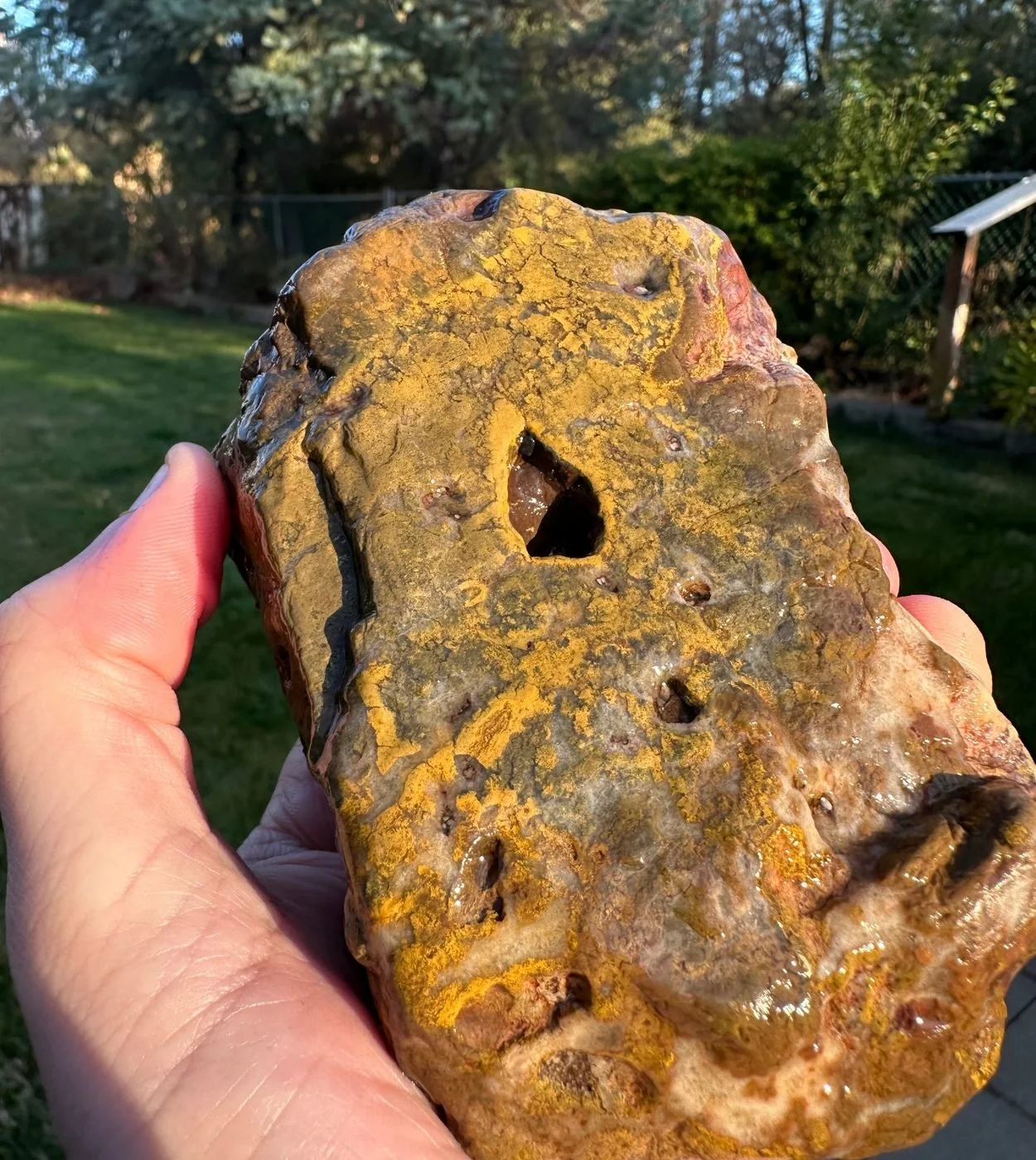 Mustard-yellow jasper with a small open pocket