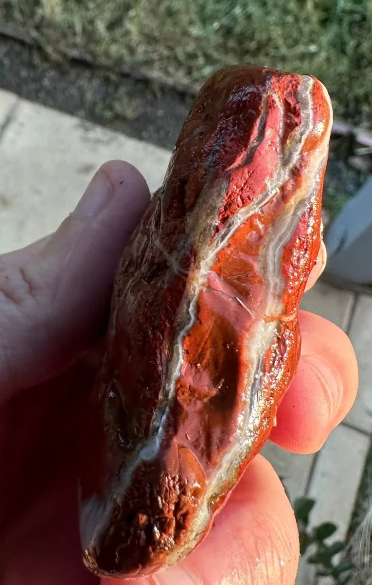 Red jasper with white chalcedony seams, seen edge-on