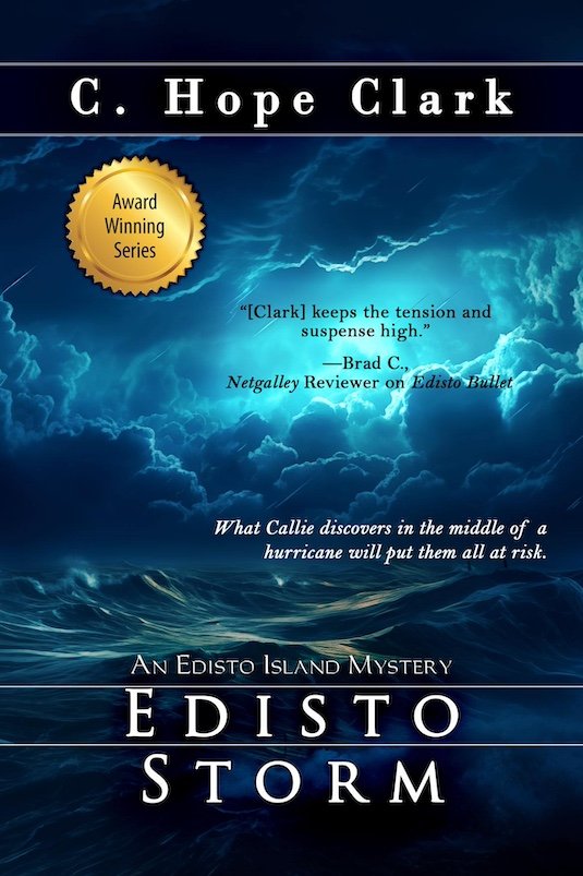 Book cover of Edisto Storm
