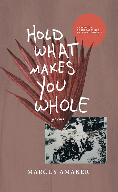 Book cover of Hold What Makes You Whole