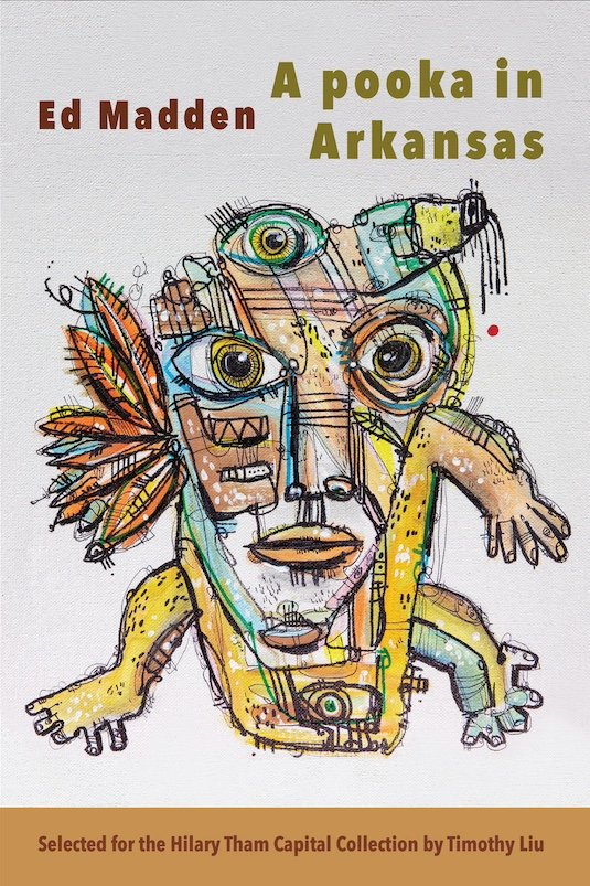 Book cover of A Pooka in Arkansas
