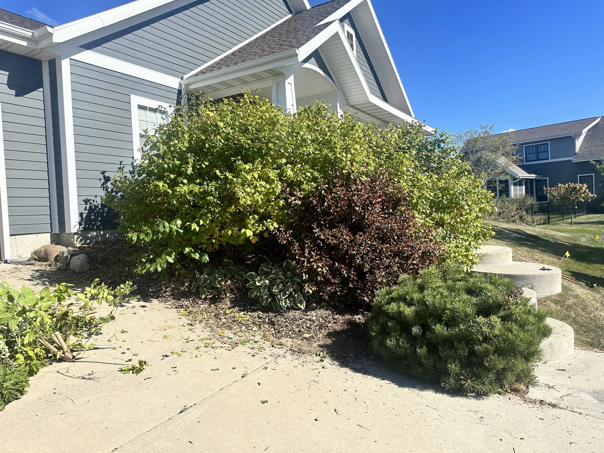 Landscape cleanup after — Waunakee WI