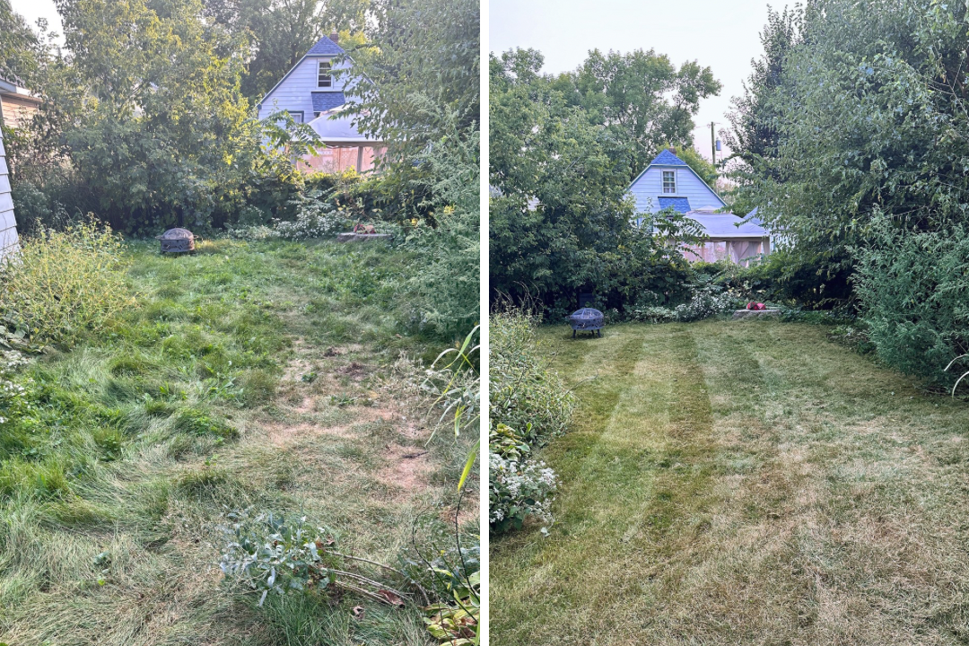 Lawn cleanup — Madison WI