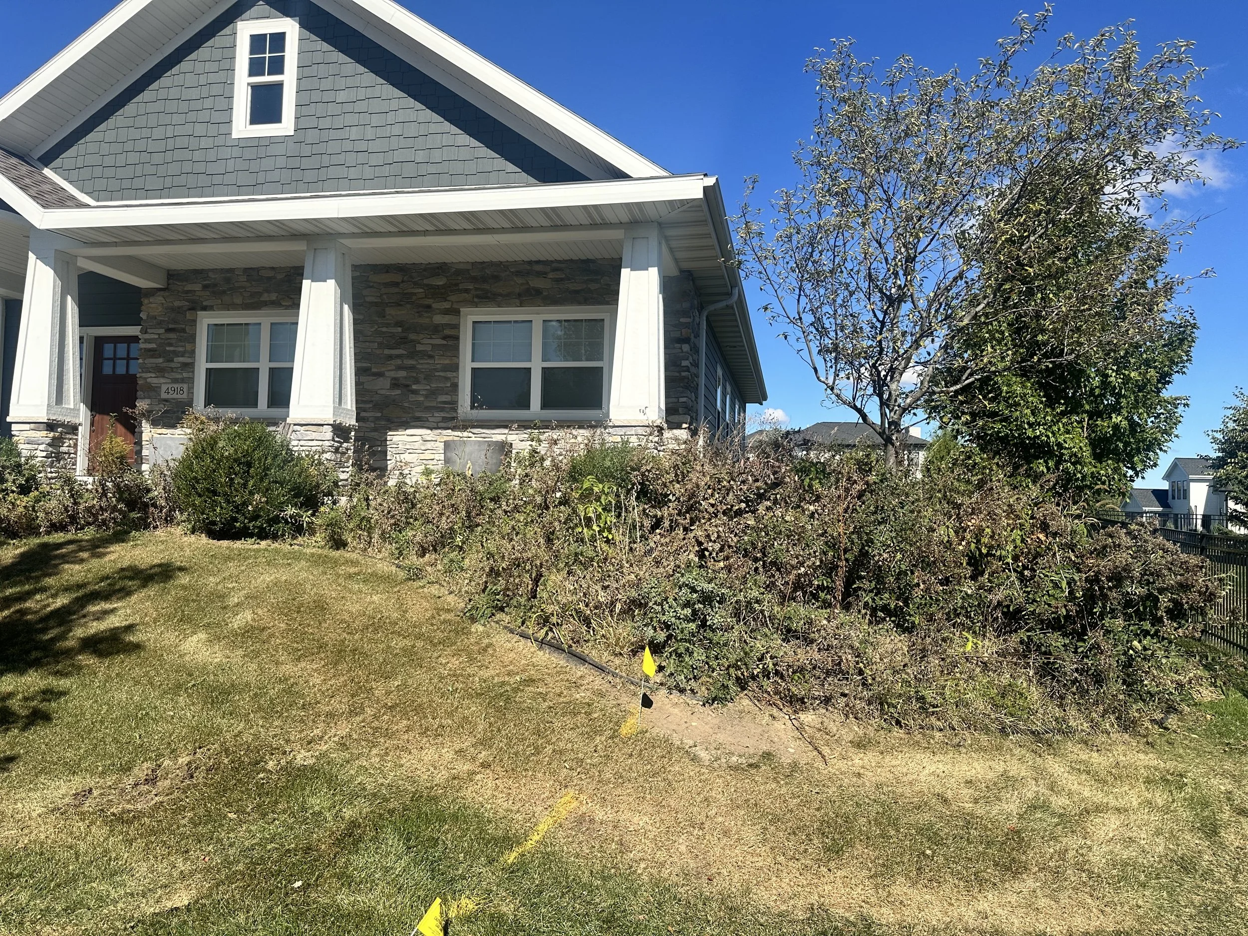 Landscape cleanup before — Waunakee WI