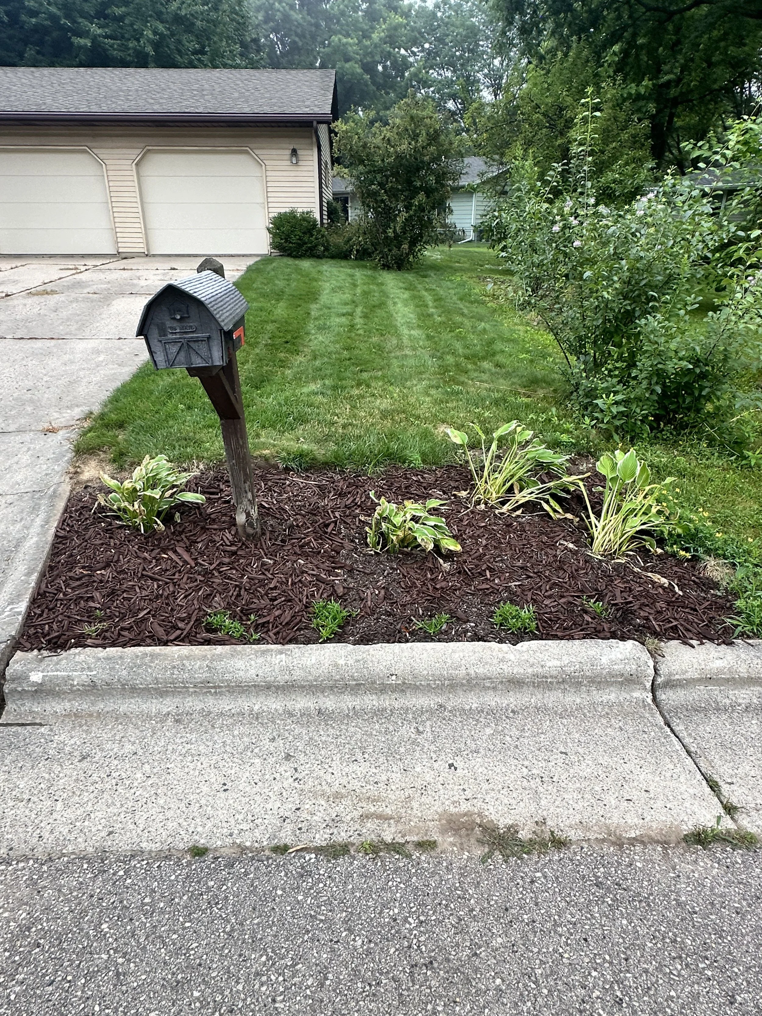 Mailbox-side mulch bed with hosta plantings on Madison's west side by YD Exterior Visions