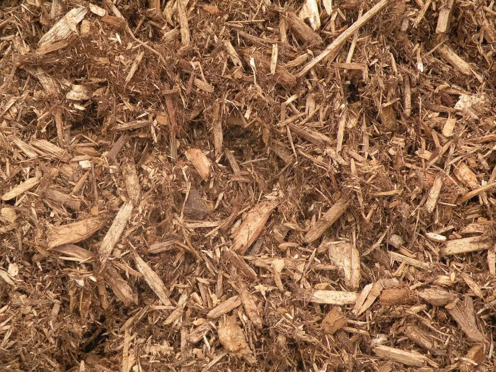 Cedar mulch — natural aromatic cedar