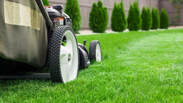 Lawn care — Madison WI