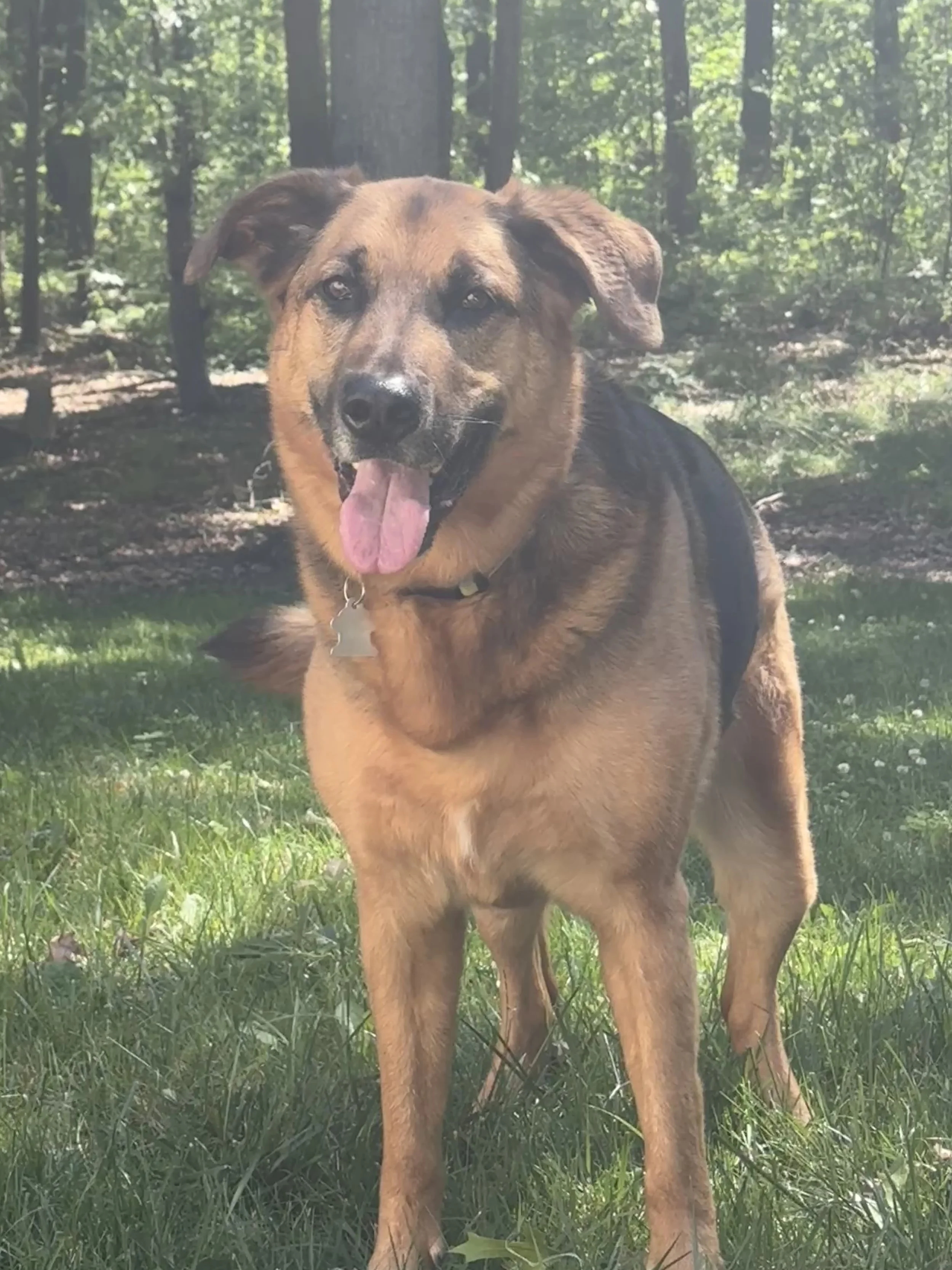 Rocky, the inspiration behind Rocky Boxes