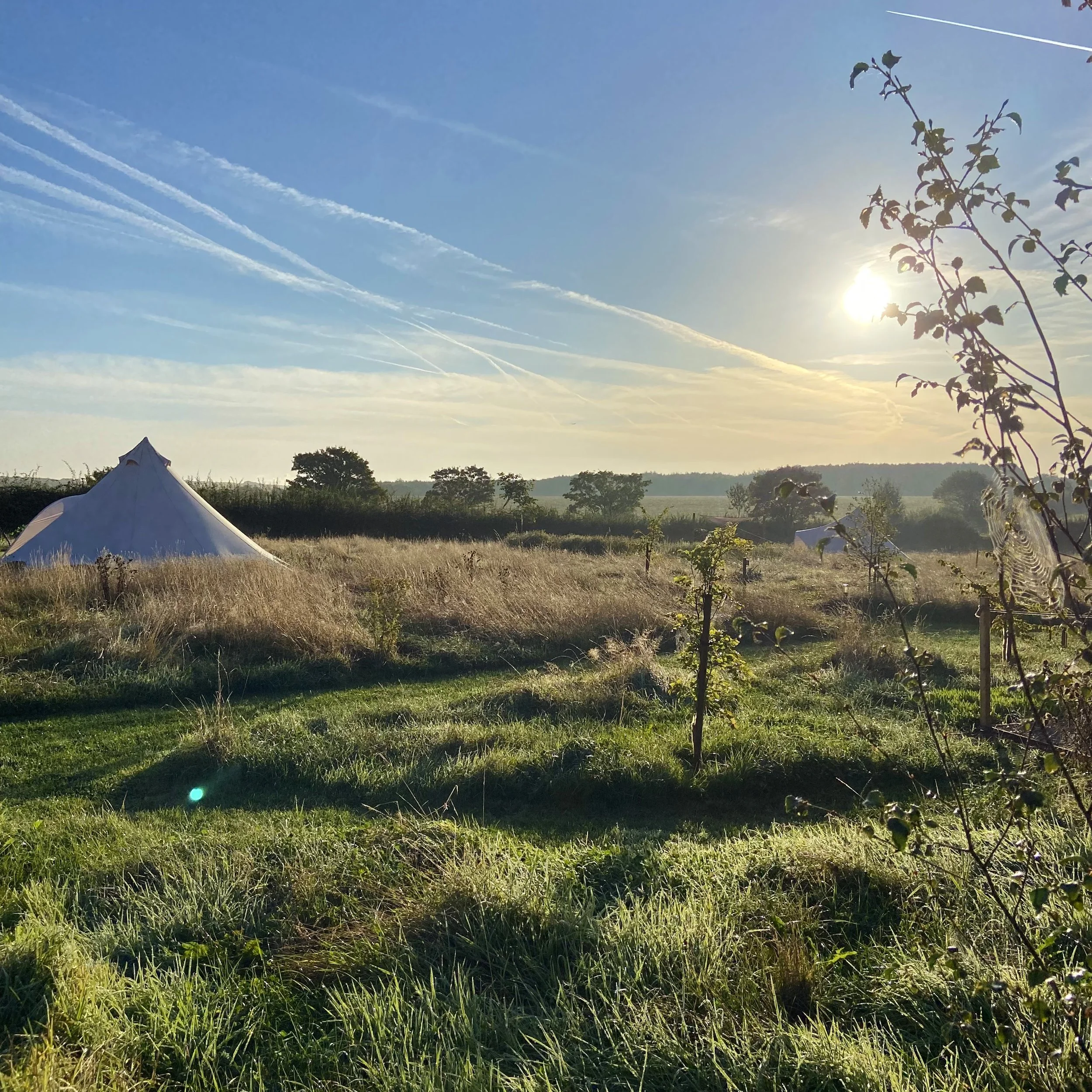 Broadleaves Glamping in Derbyshire