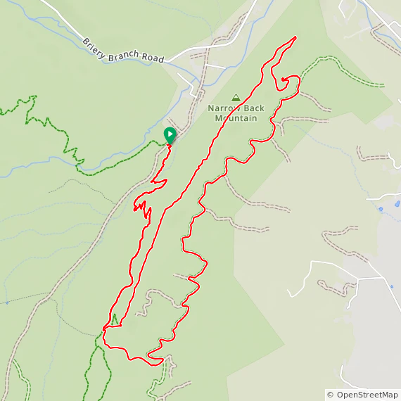 Narrowback Festival Loop - 11.1 miles