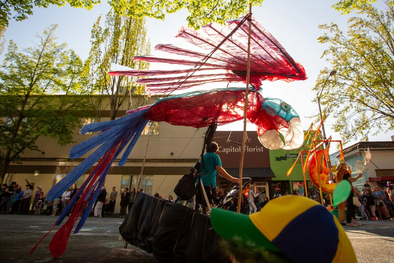 Colorful bird puppet with red and blue streamers overhead during the Procession of the Species in Olympia