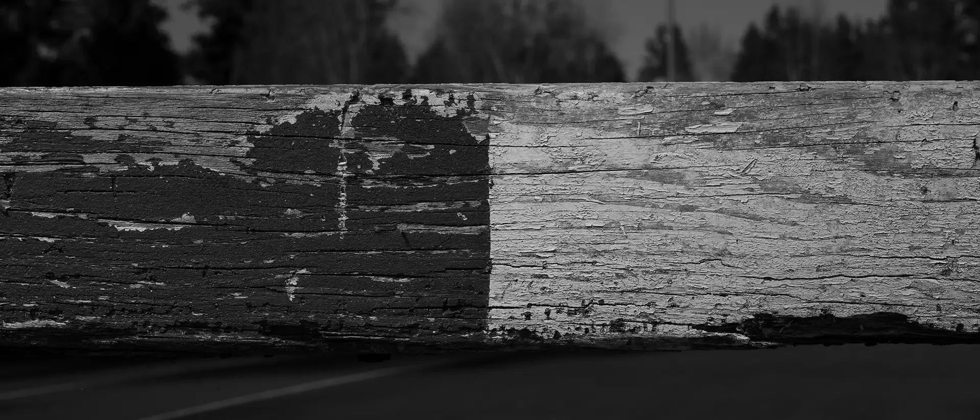 Puget Sound steeplechase barrier texture