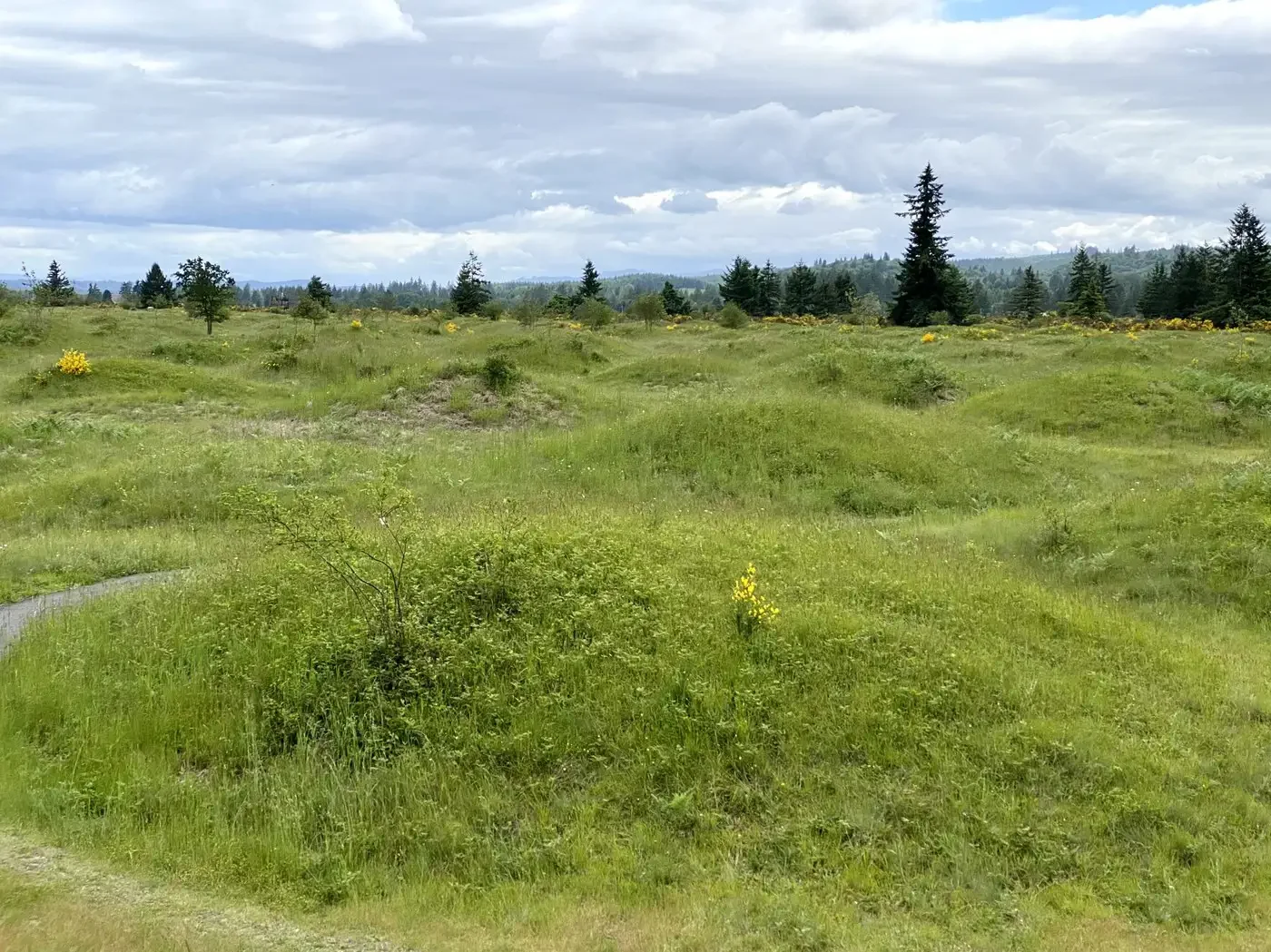 Mima Mounds