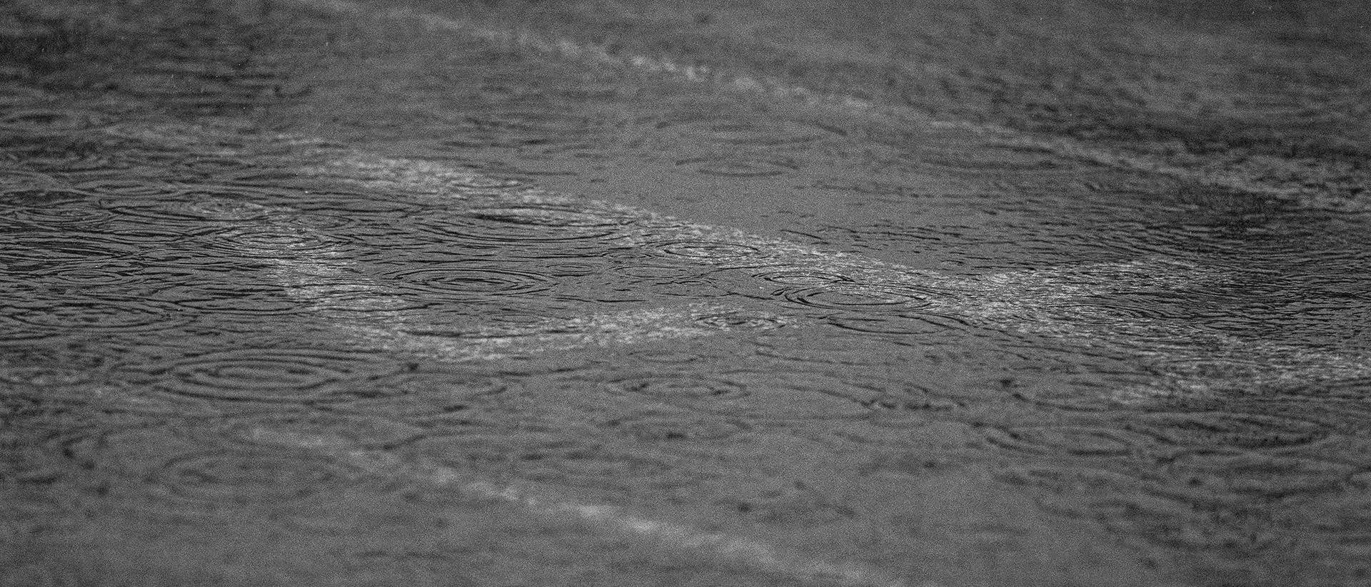 Olympia High School track rain texture