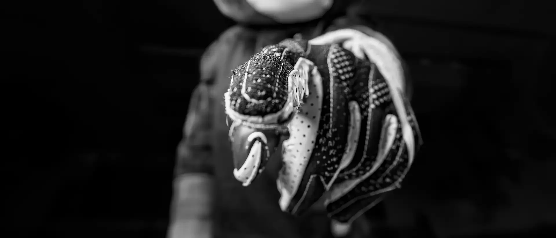 Olympia High School mascot Pepper detail