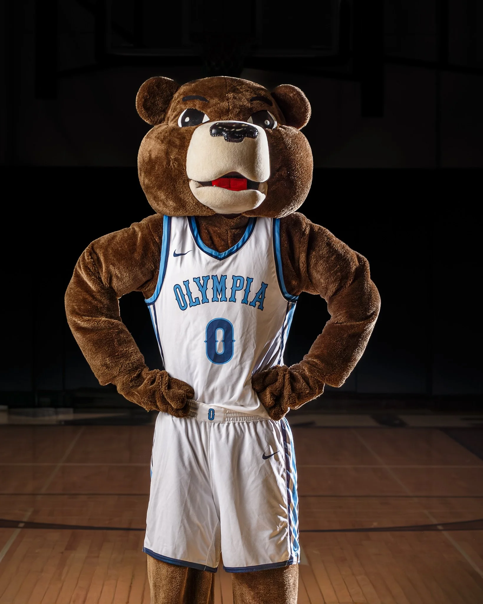 OHS Mascot Action Posture