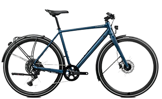 Vector
