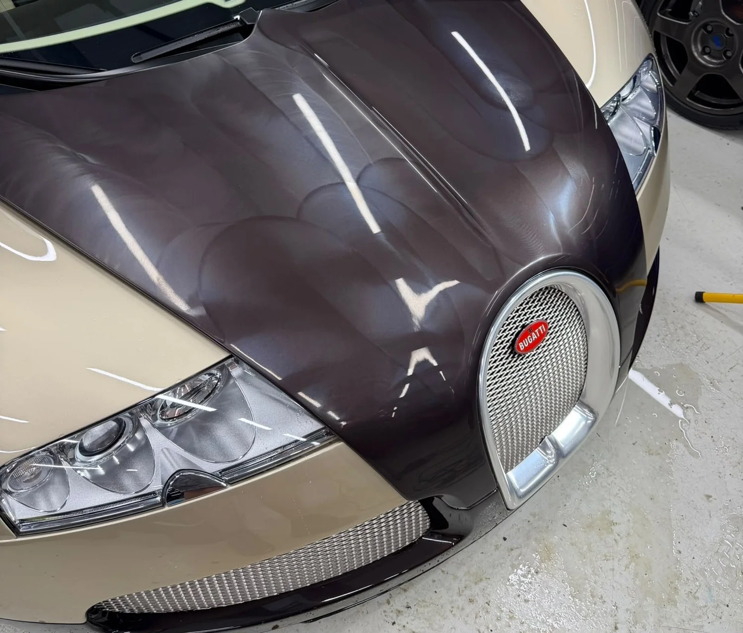 Multi-Stage Paint Correction - Love Detailing