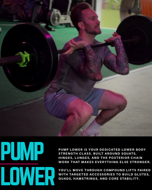 Pump Lower