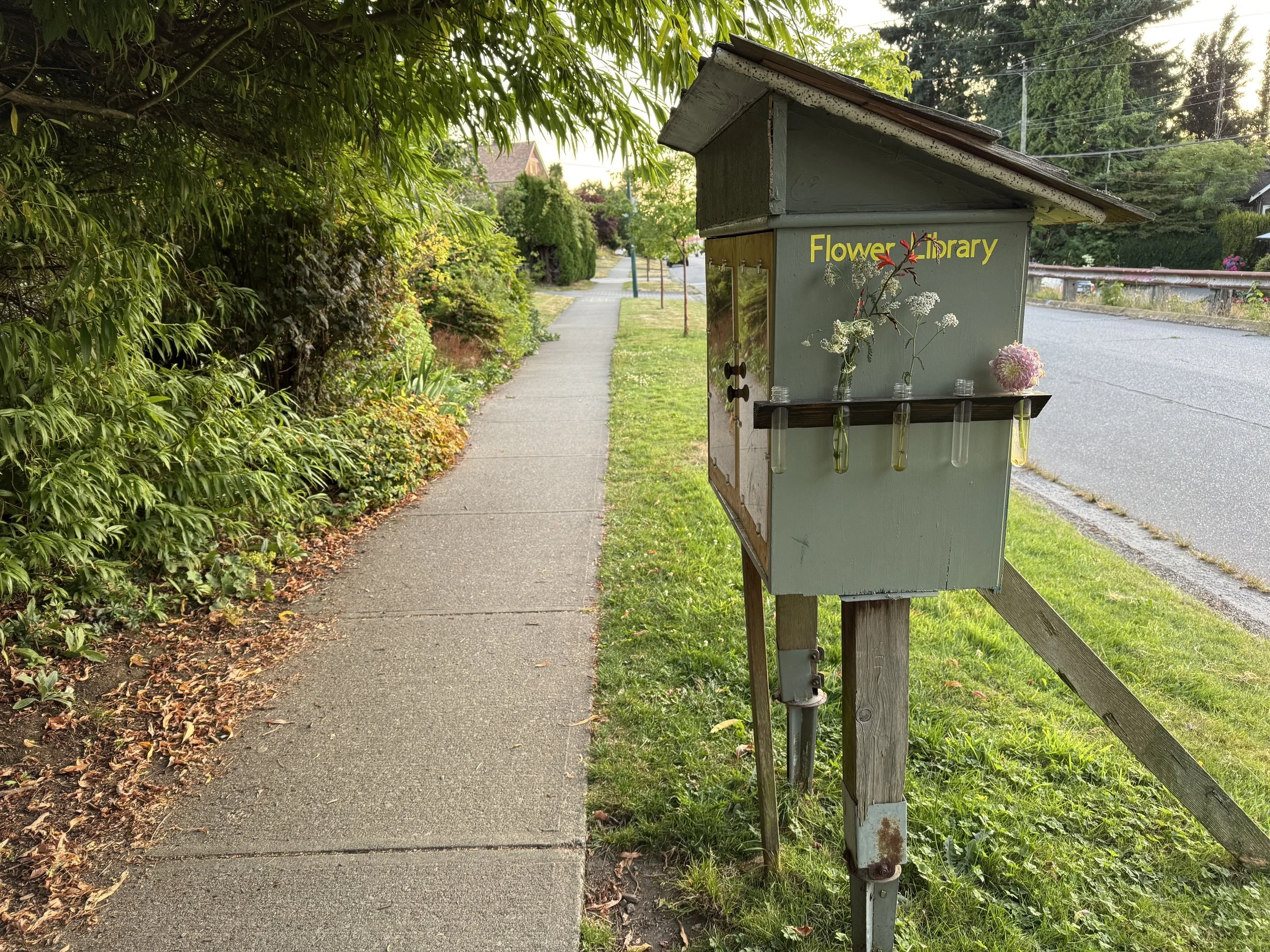A little library beside a sidewalk. The library also has a spot with cut flowers to give away.