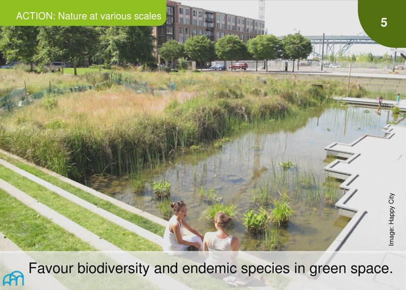 A slide titled 'ACTION: Nature at various scales' showing two people sitting by an urban wetland park.