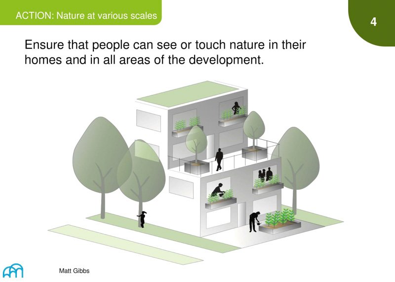 Text on a slide titled ‘Action: Nature at various scales’ reads: 'Ensure that people can see or touch nature in their homes and in all areas of the development.'