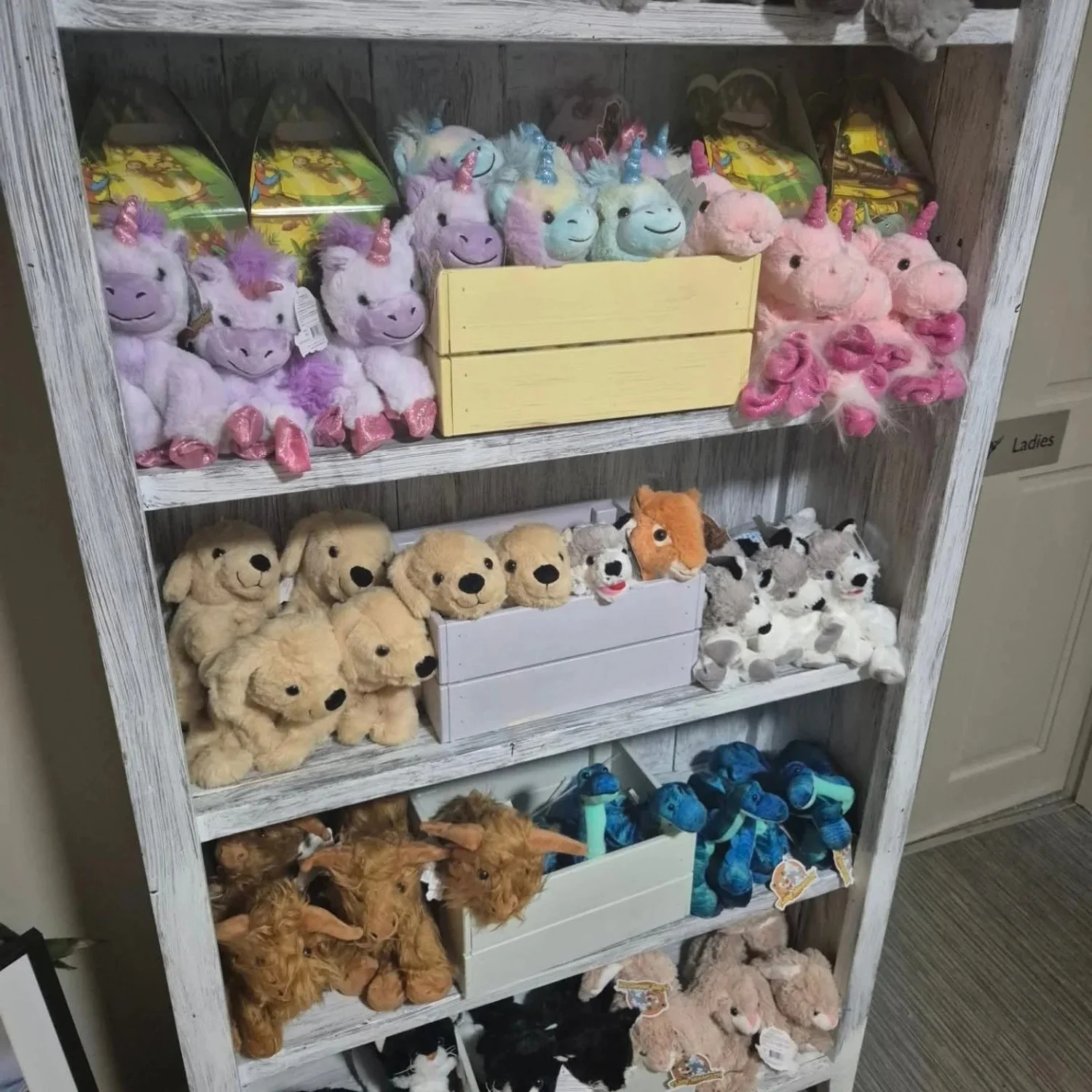 Cuddly friends to choose from