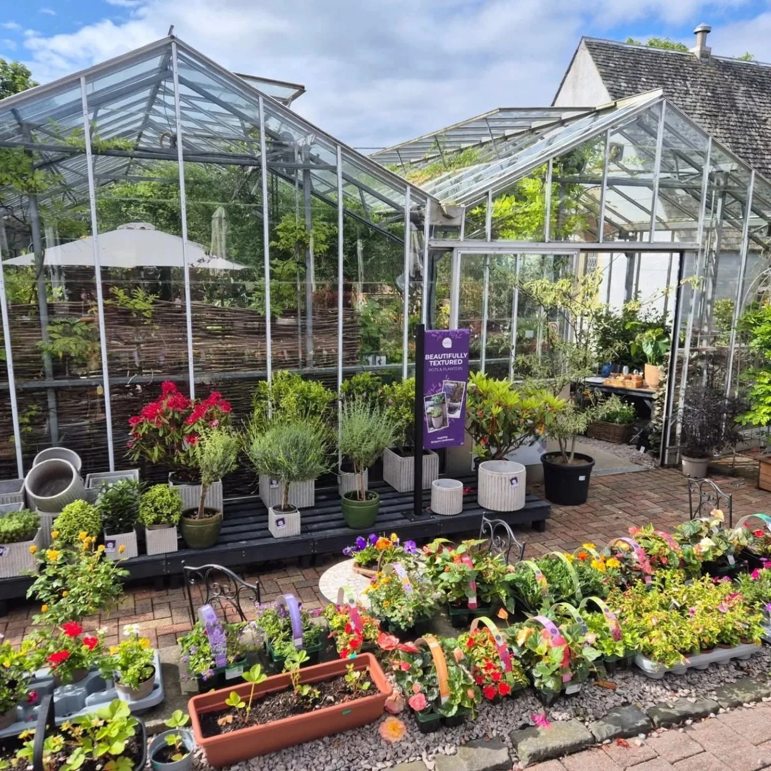 Garden centre plants at Glenbarr Stores