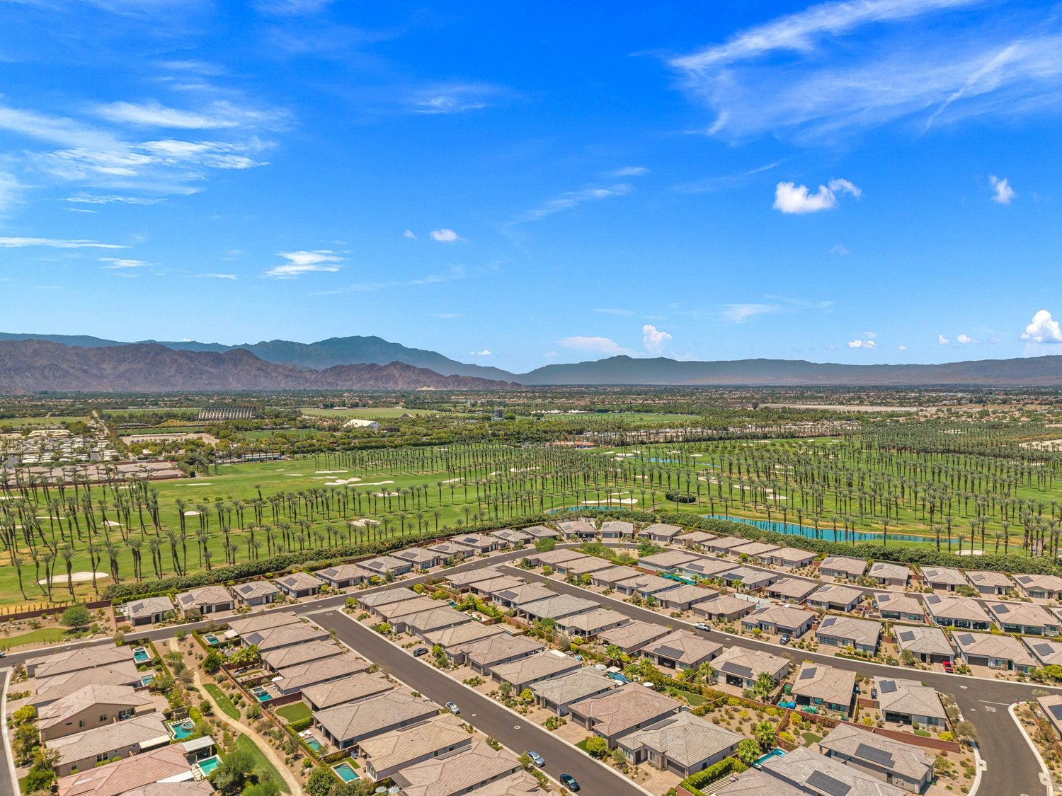 Indio homes beside a date palm grove