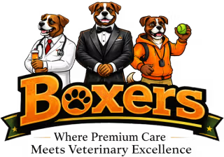 Boxers Bed and Biscuits pet care campus