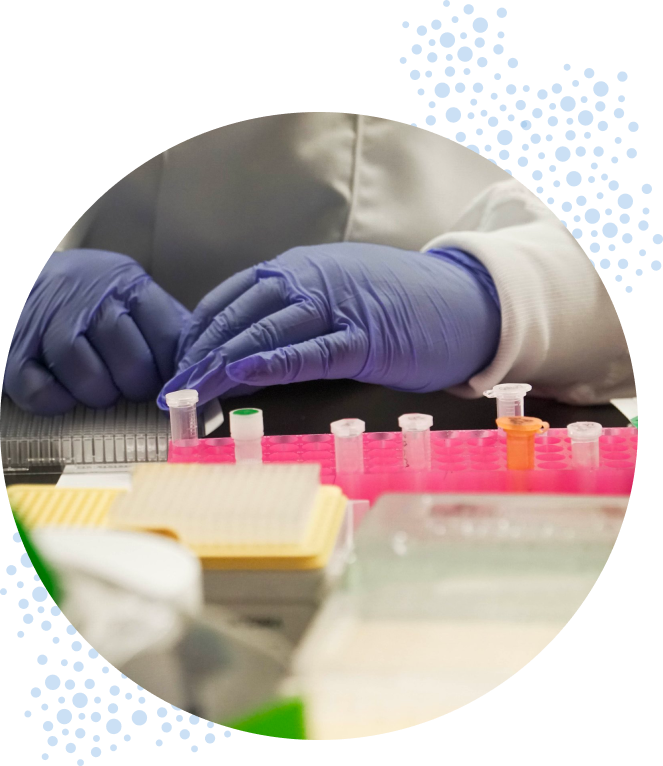 Close-up of person wearing lab gloves who is distributing chemicals into a well plate