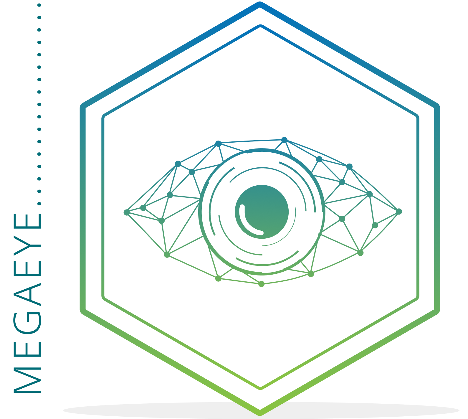 MegaEye logo