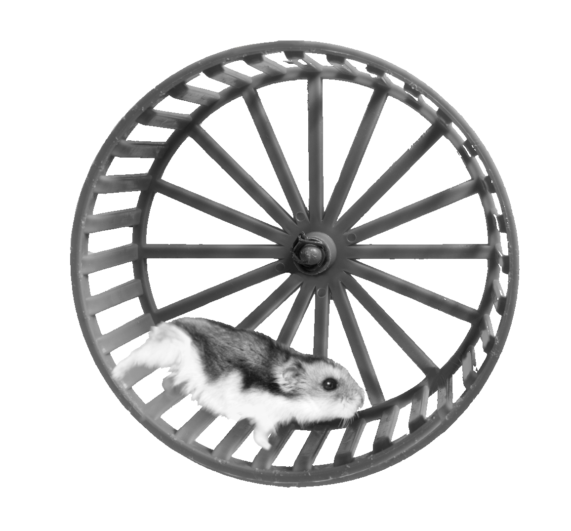 Front Image