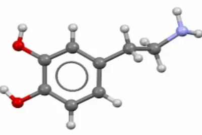Dopamine Therapy approach at Bali Harmony Rehab in Bali