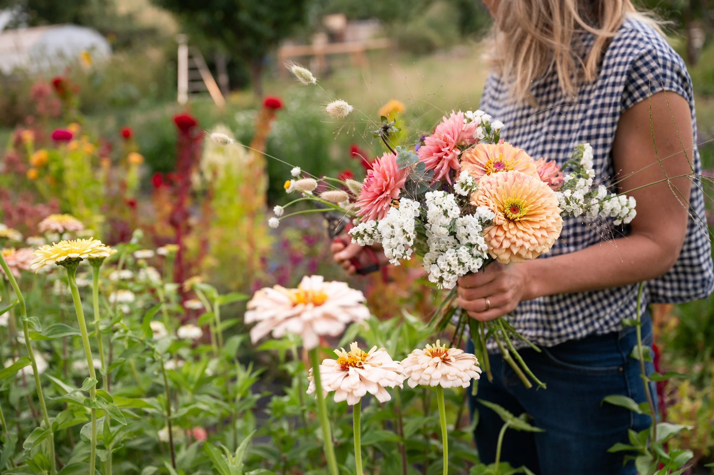 Renee holding an armful of fresh flowers from Stewberry Farm