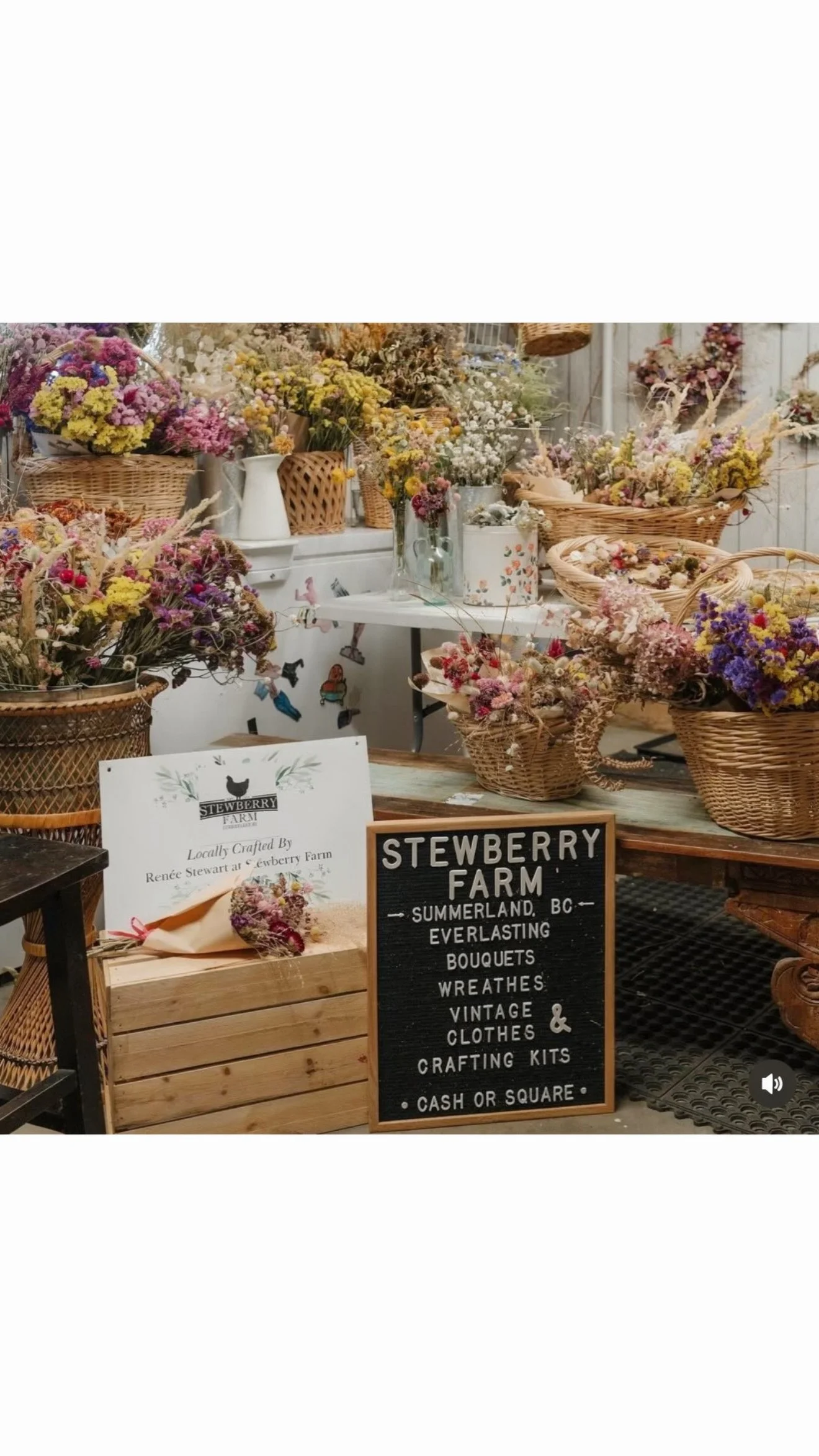 Stewberry Farm Instagram