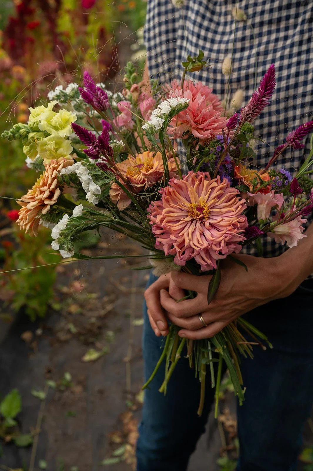 Fresh bouquets from Stewberry Flower Farm