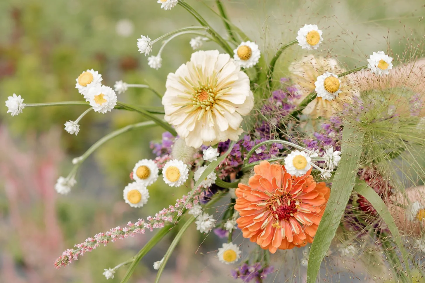 Stewberry blooms