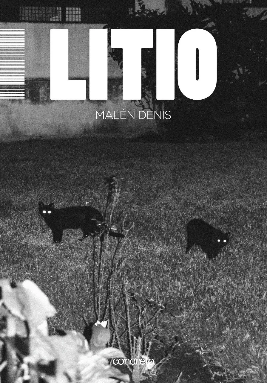 Litio cover: two black cats with glowing eyes on a lawn at night
