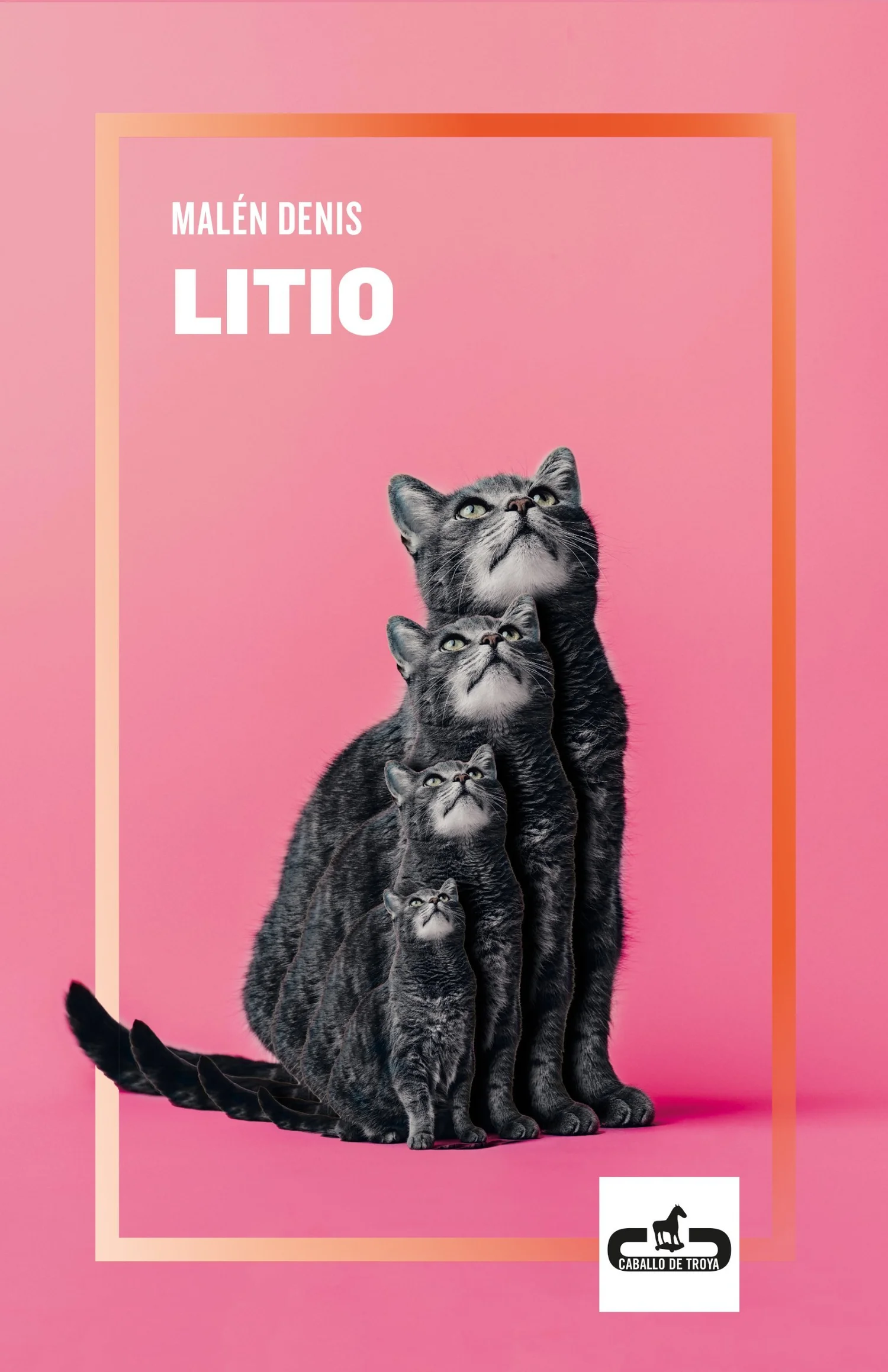 Litio cover: four grey cats looking up on pink