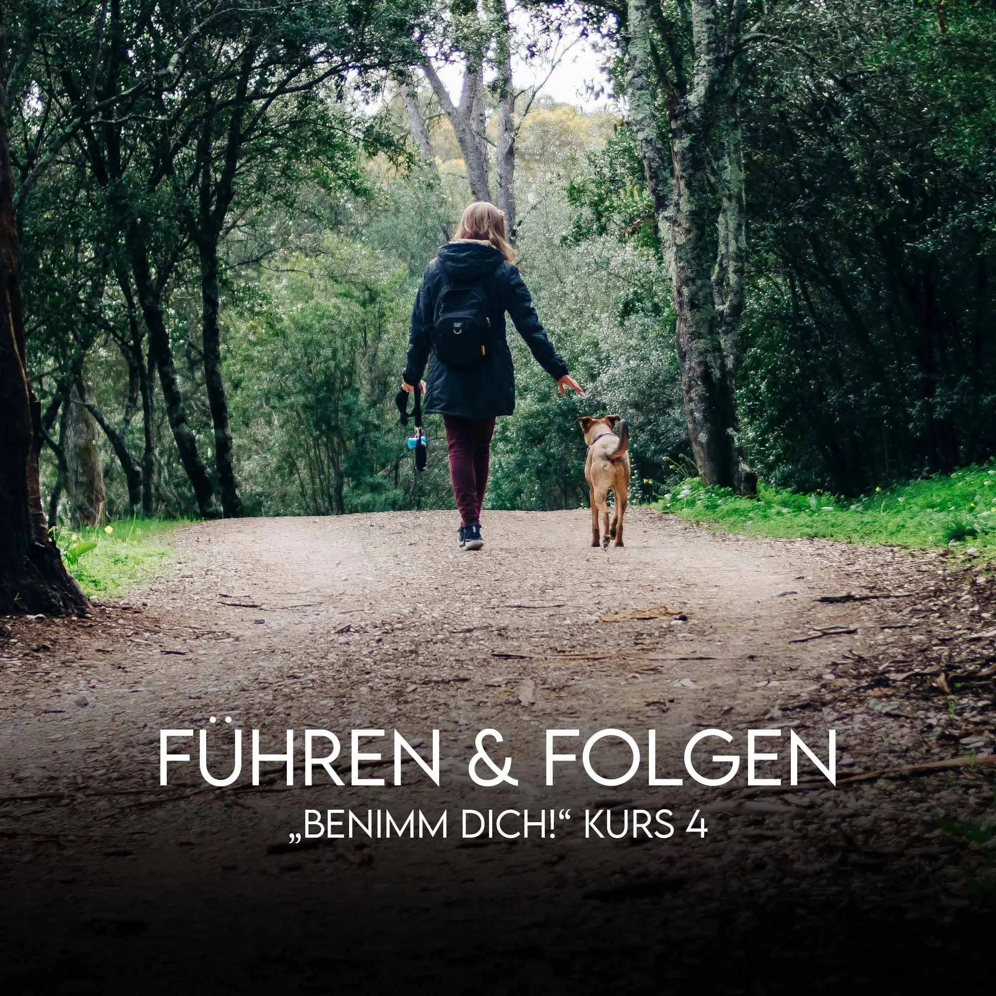 Führen und Folgen